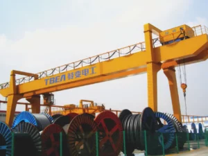 crane for power plant