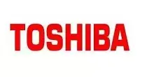 crane manufacturer for TOSHIBA